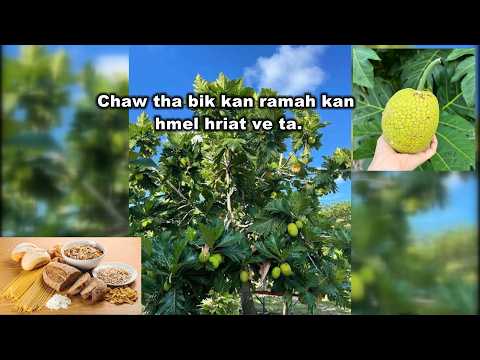 Chaw a kan intodelh theihna tur thlai hrisel bik