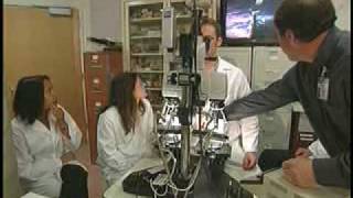 UC Davis Newswatch: Forensic Science No. 3