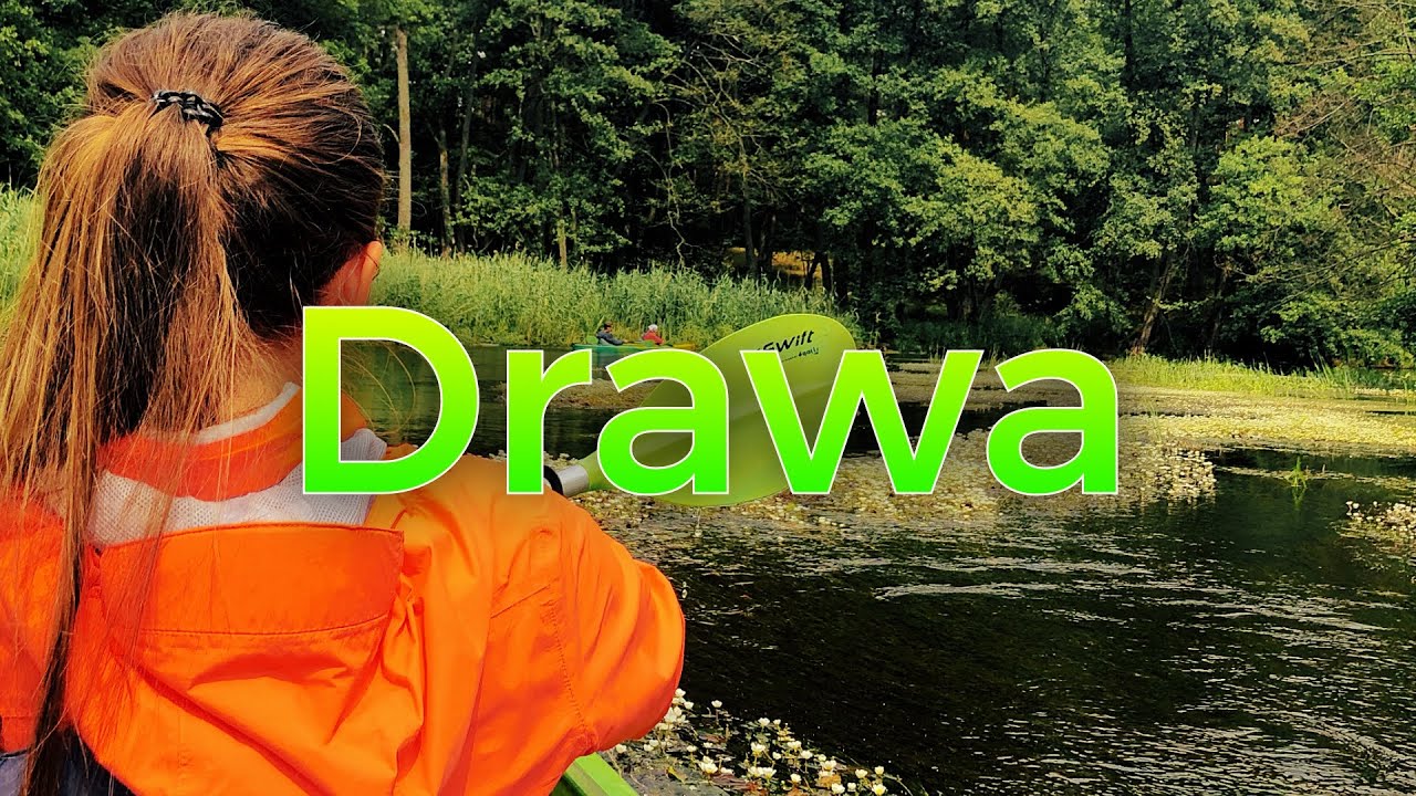 Drawa - spływ kajakowy // Spotkanie z żubrem // Karwickie Bory - Stare Osieczno