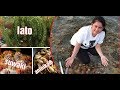 NANGINHAS SI INDAY ft. HUNASAN SA STA. ROSA OLANGO ISLAND | VLOG #5 | MERCY INOC