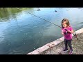 Catching A Lot Of Fish Using Corn
