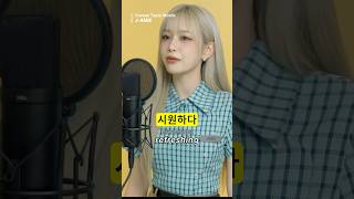 Korean Taste Words Song 🌶️🍯 | Learn Korean Food Vocabulary 🇰🇷 | J-AMIE