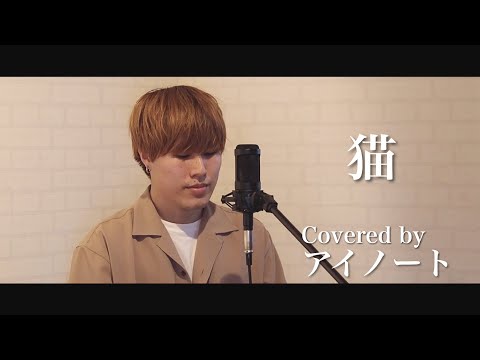 猫 / DISH// (Covered by アイノート)