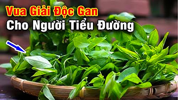 Bật Mí 8 Loại Rau Là VUA GIẢI ĐỘC GAN Cho Người Tiểu Đường – Càng Ăn Nhiều Gan Càng Sạch Càng Khỏe