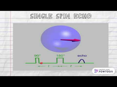 MRI spin echo