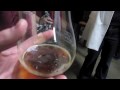#49-2 - SoCal Brew Tour (part 2)