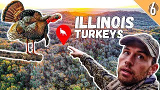 Illinois Spring Turkey Hunting - Finding Gobblers On New Areas