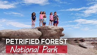 Petrified Forest National Park