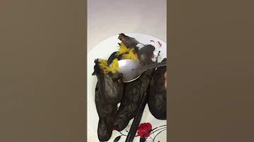 أغنية البطاطا مشوية سخنه ومسكره تعالى دوق وجرب احلى طعم بطاطا حلوه حبشتكنات محمدالبرعى سوبرستار 