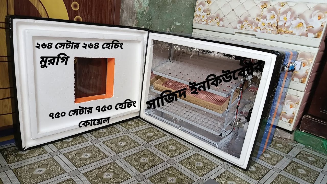 ২৬৪ সেটার ২৬৪ হেচিং হাস মুরগী তিতির।৭৫০ সেটার ৭৫০ হেচিং কোয়েল।এসিডিসি।ডাবল ট্রে।ফুল অটো