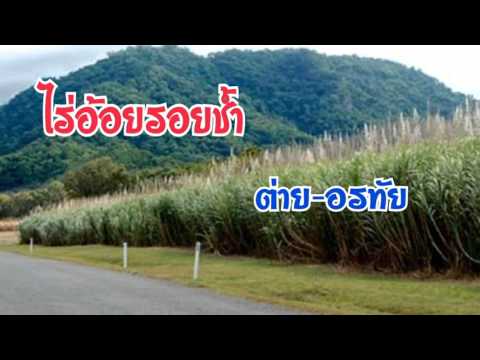 ไร่อ้อยรอยช้ำ-ต่าย อรทัย