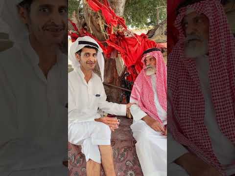 جولة عوض بن ربشه وابو عمره 