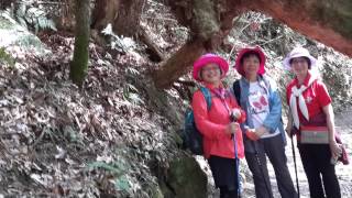 20150507- 8研究苑探訪上帝的部落Smangus