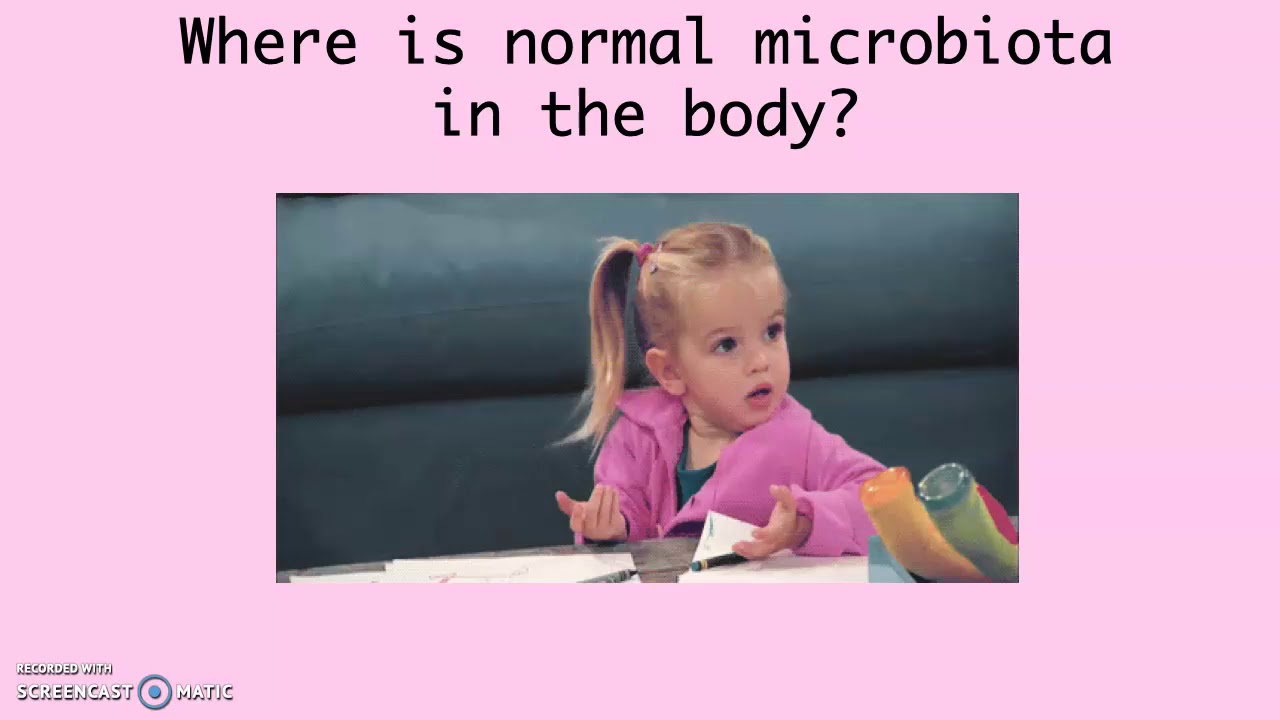 Chapter01 Normal Microbiota
