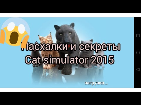 Видео: пасхалки и секреты в cat simulator 2015