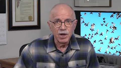 Winning Friends, Not Battles, for Bat Conservation