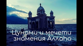 цунами и мечети знамения Аллаhа