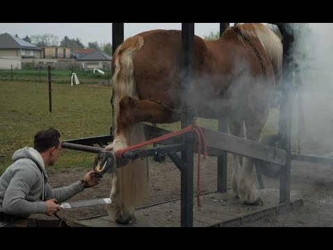 Hot shoeing a
