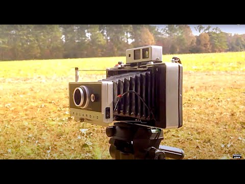 Polaroid Land Camera - Field Test
