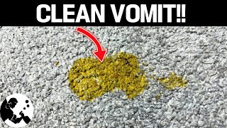 How To Clean Vomit From Carpet