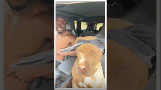 Dog Dancing To Tupacs 