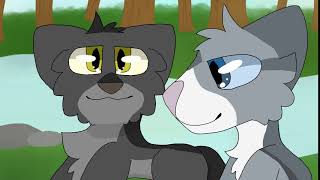 SilverStream and GreyStripe MAP - Part #9