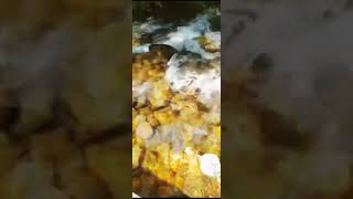 Su Sesi, Akan Suyun Sesini Dinle