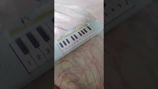 testing my new #bluey #piano!