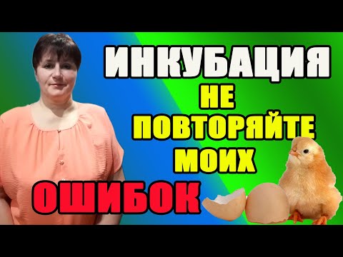 Инкубация. Самые главные ошибки инкубации.