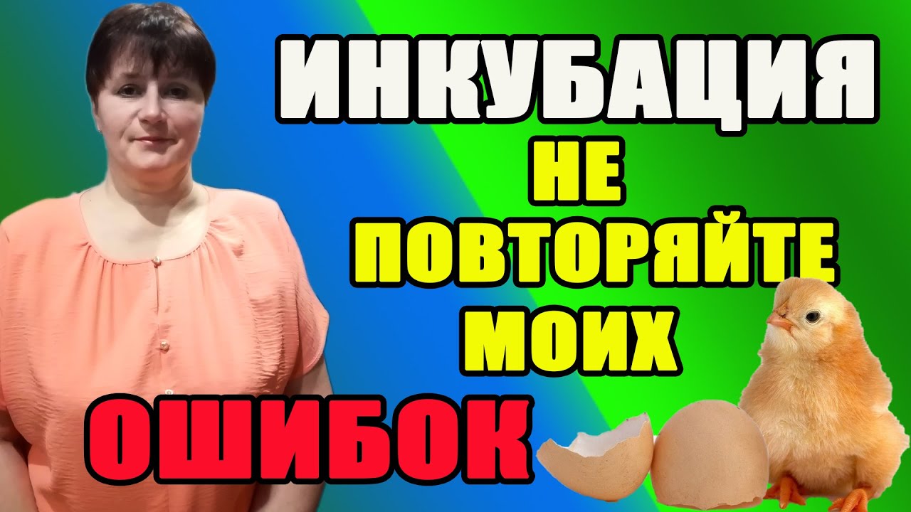 Инкубация. Самые главные ошибки инкубации.