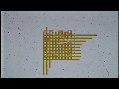 Ginger Root — Ginger Root - "Having Fun" [Official Lyric Video]