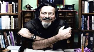 ZEN Story— The Tree Branch: Alan Watts