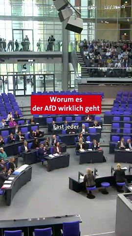 Maja Wallstein: Darum geht es der AfD wirklich