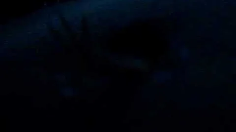 MATT DETERMAN- ATTACKED BY A HOLE O_O