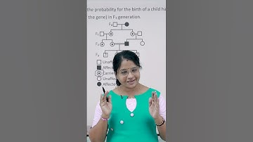 ഈ ചോദ്യങ്ങൾ ഇങ്ങനെ വേണം WORKOUT ചെയ്യാൻ | PRINCIPLES OF INHERITANCE AND VARIATION | NEET BIOLOGY