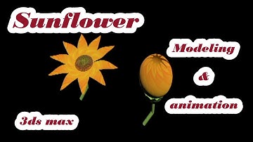 Sunflower modeling and animation in 3ds max Attribute holder