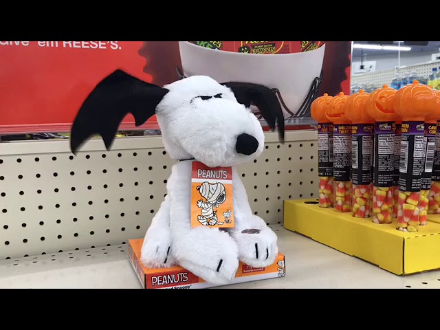 Peanuts for Pets 9 Halloween Woodstock Pumpkin Big Head Plush Dog Toy with Squeaker | Snoopy Plush Dog Toys, Cute Dog Toys | Sq