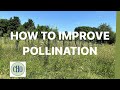 How to improve pollination