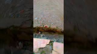 Download Lagu uda MP3