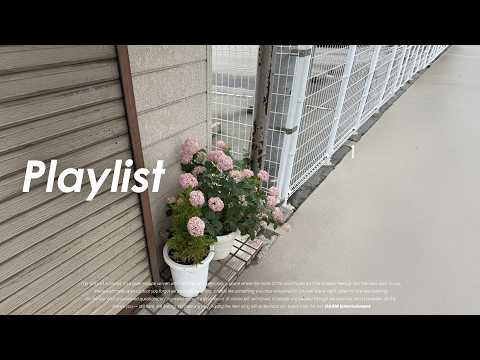 𝐏𝐥𝐚𝐲𝐥𝐢𝐬𝐭 설레임을 가득 실은 플레이리스트