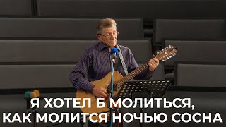 Пісня "Я хотел б молиться, как молится ночью сосна" Васютинський Олександр 19.05.24