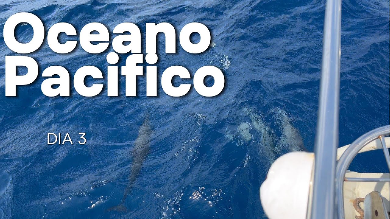 ¡MAGIA PURA! 🐬 Nos RECIBIERON los Primeros Delfines en el Pacífico | Bitácora Día 3