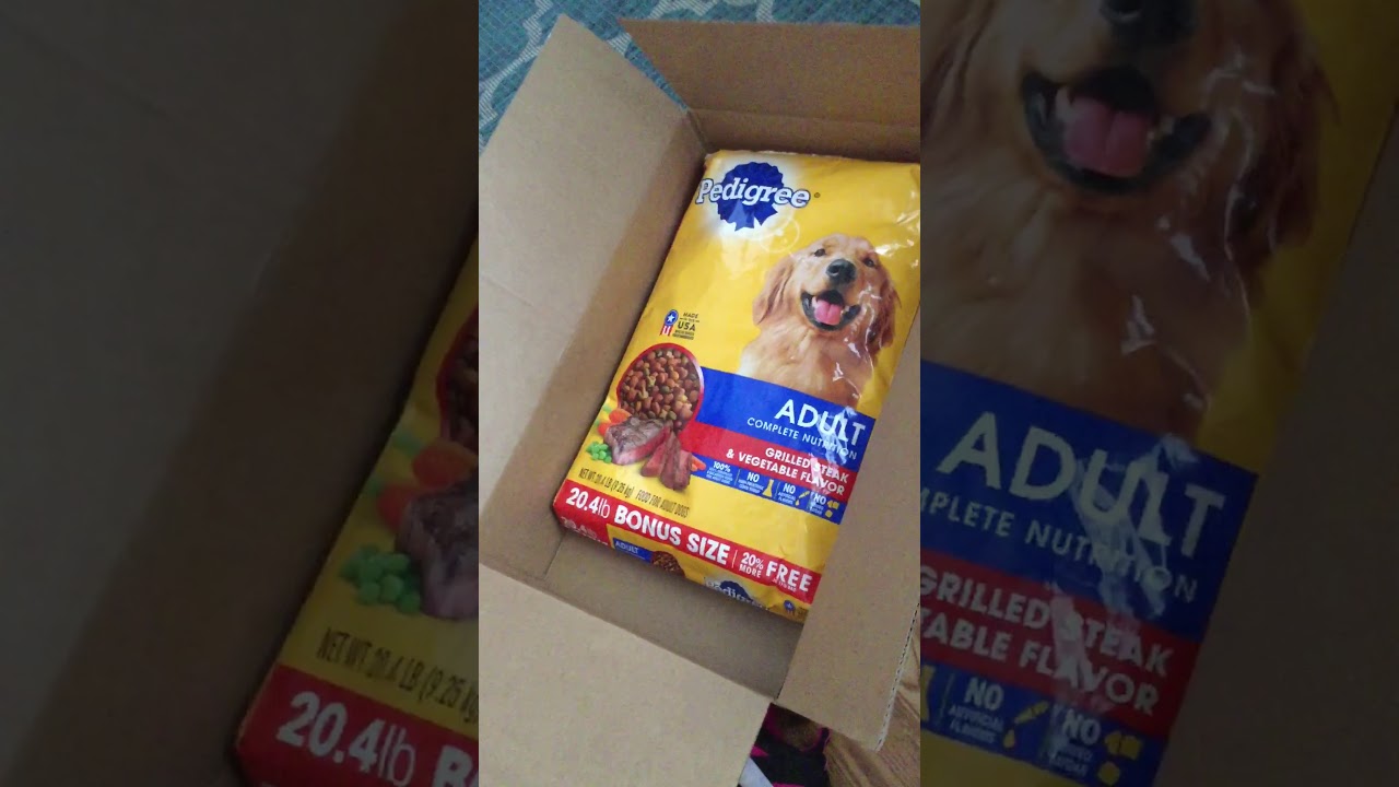 Gwen accidentally bought dog food for our non-existent dog - YouTube