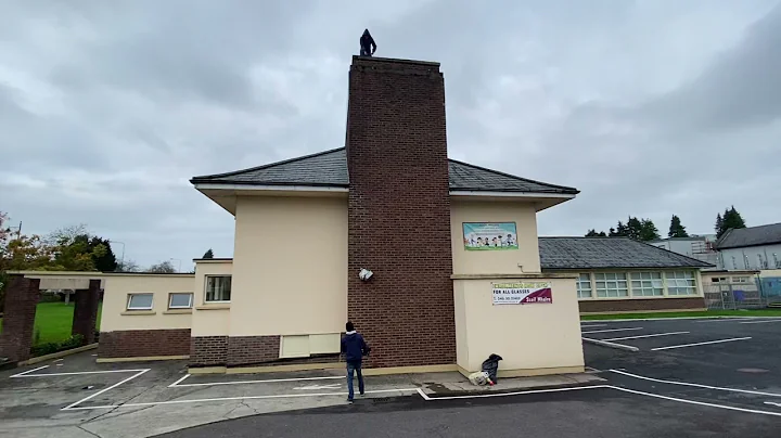 Navan man ends rooftop protest