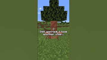 Minecraft, But Every Time I Walk It ADDS PIXELS...#shorts