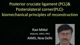 Biomechanics of PCL and PLC Reconstruction screenshot 1