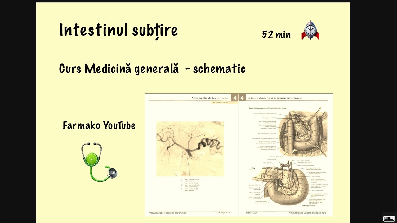 Curs- Intestinul subțire- medicină generală 