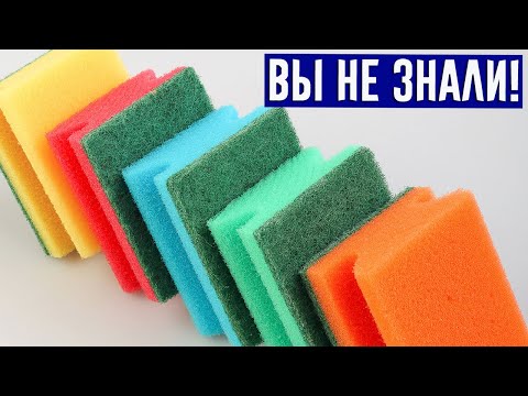 Почему губки для мытья посуды имеют разный цвет?! Есть ответ!