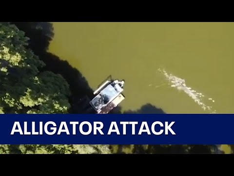 Watch an Air Force pararescue vet fight off an alligator attack with his bare hands