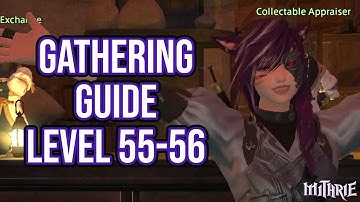 FFXIV 3.0 0677 Gathering Guide Level 55 to 56